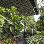 DY Patil大学卓越中心，印度 / Foster + Partners