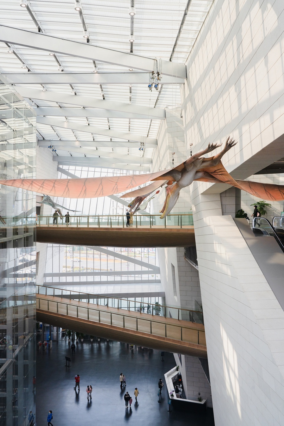 chengdu natural history museum by pelli clarke partners