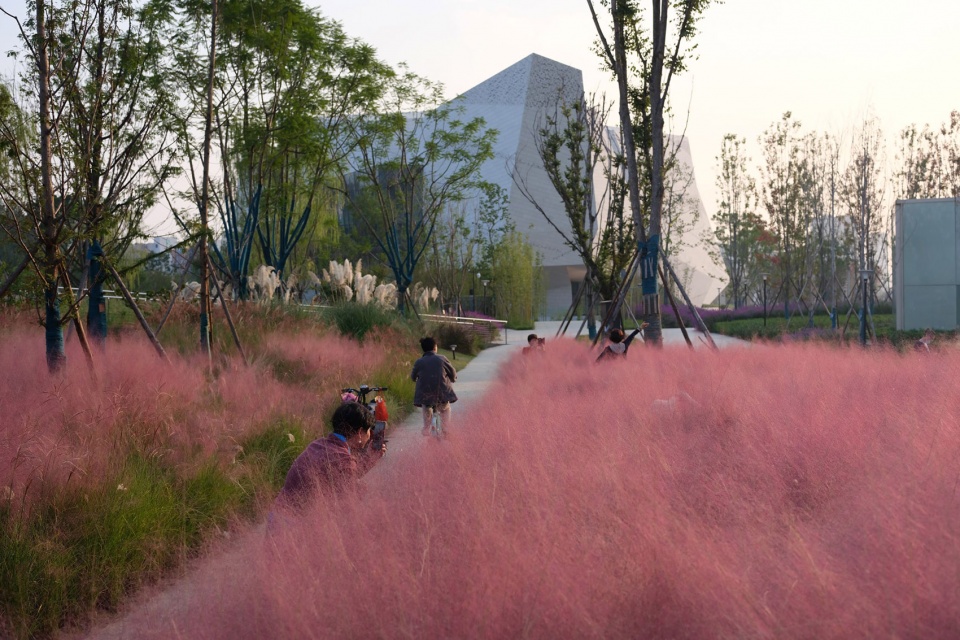 chengdu natural history museum by pelli clarke partners
