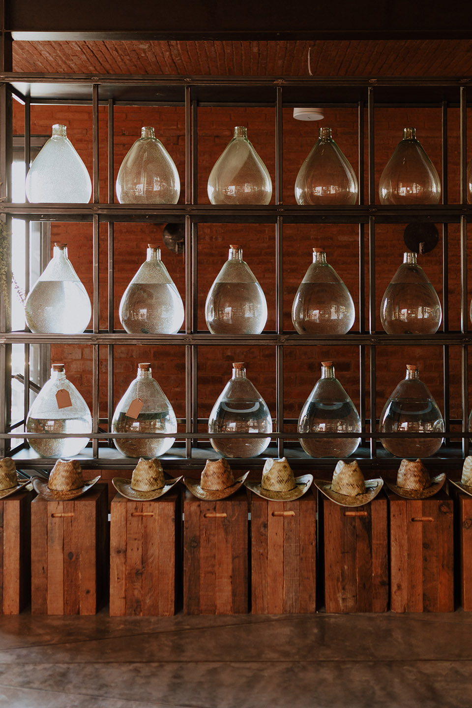 cobarde by rootstudio