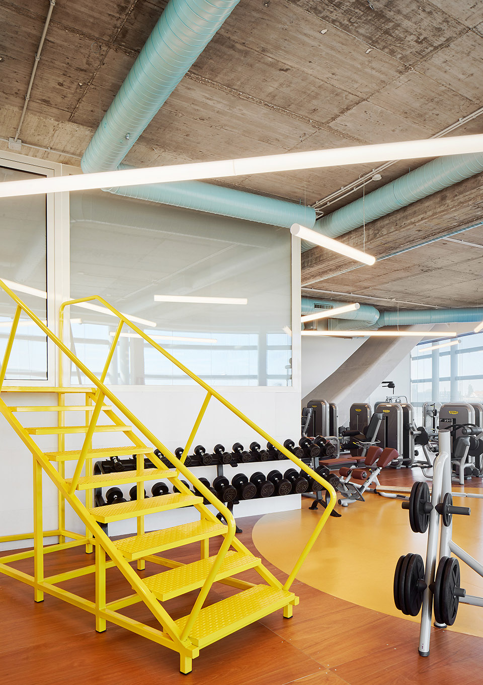 Chemo Gym Jorge Vidal Studio