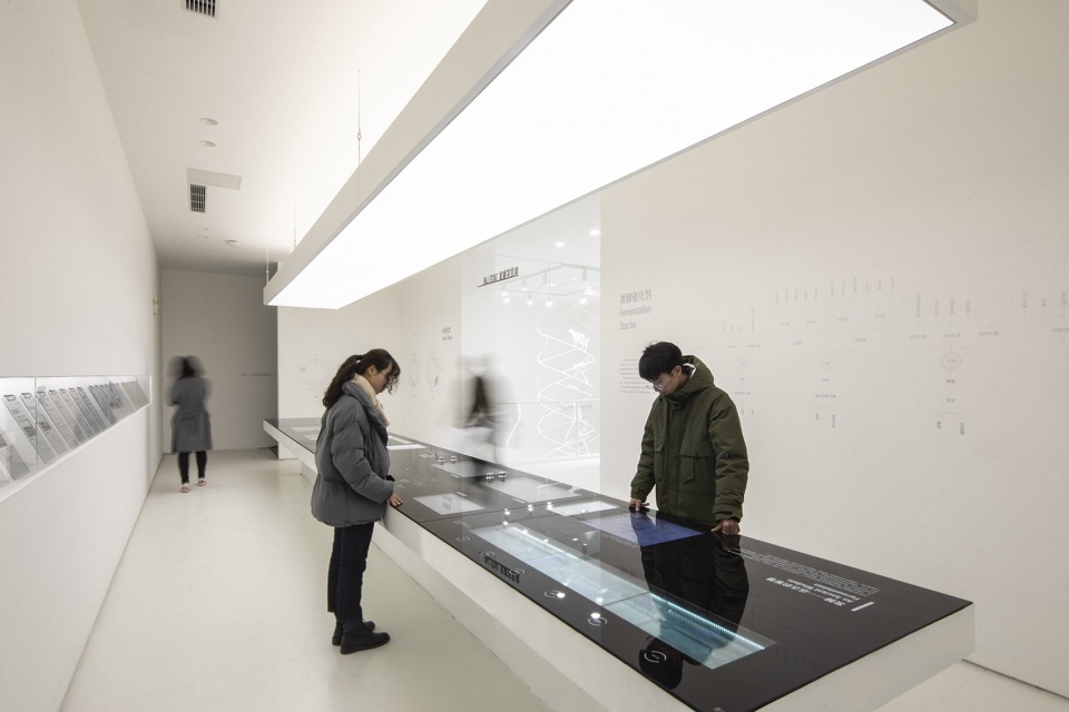 taste museum by diameter narrative design