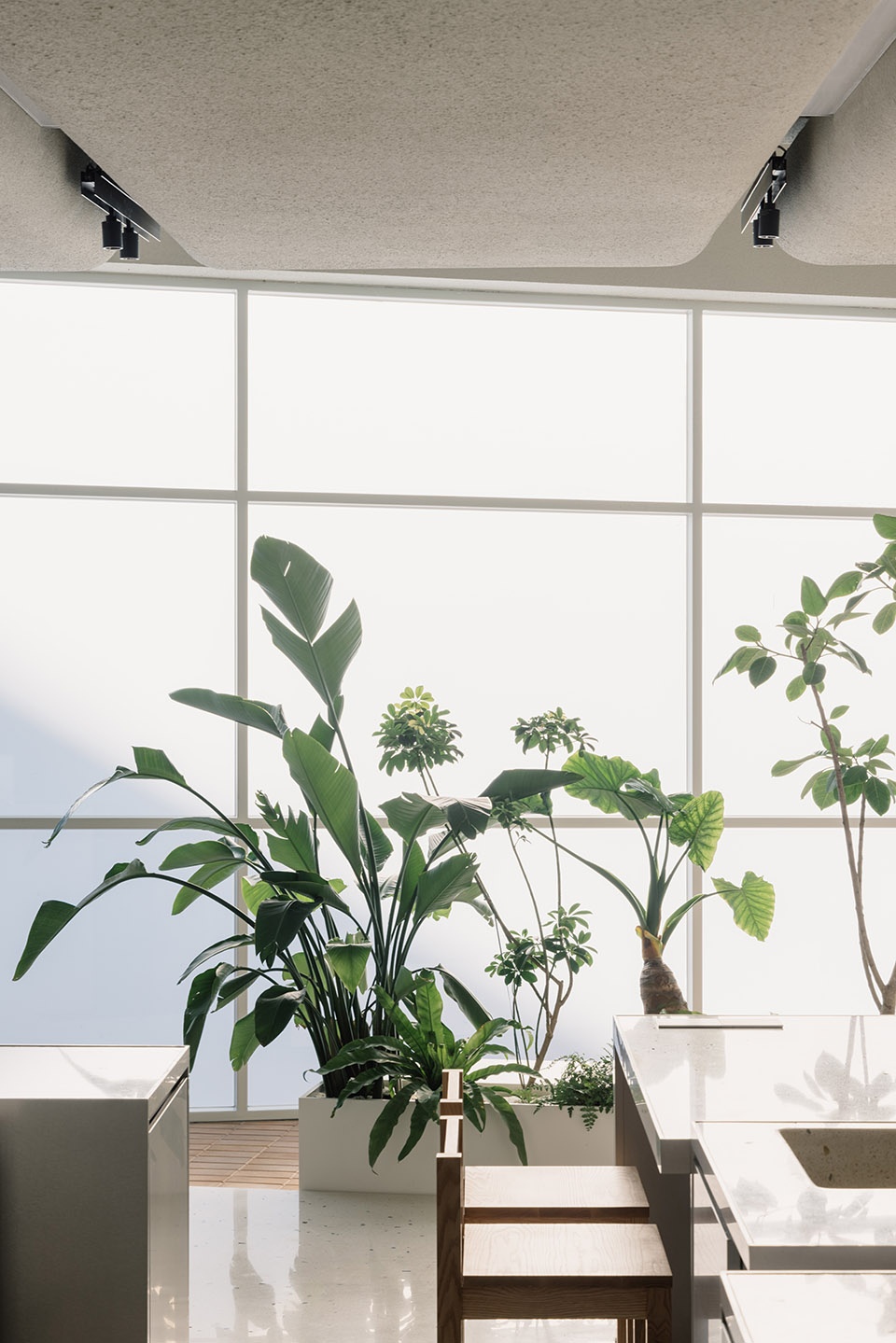 Fishtank Coffee Office AIO