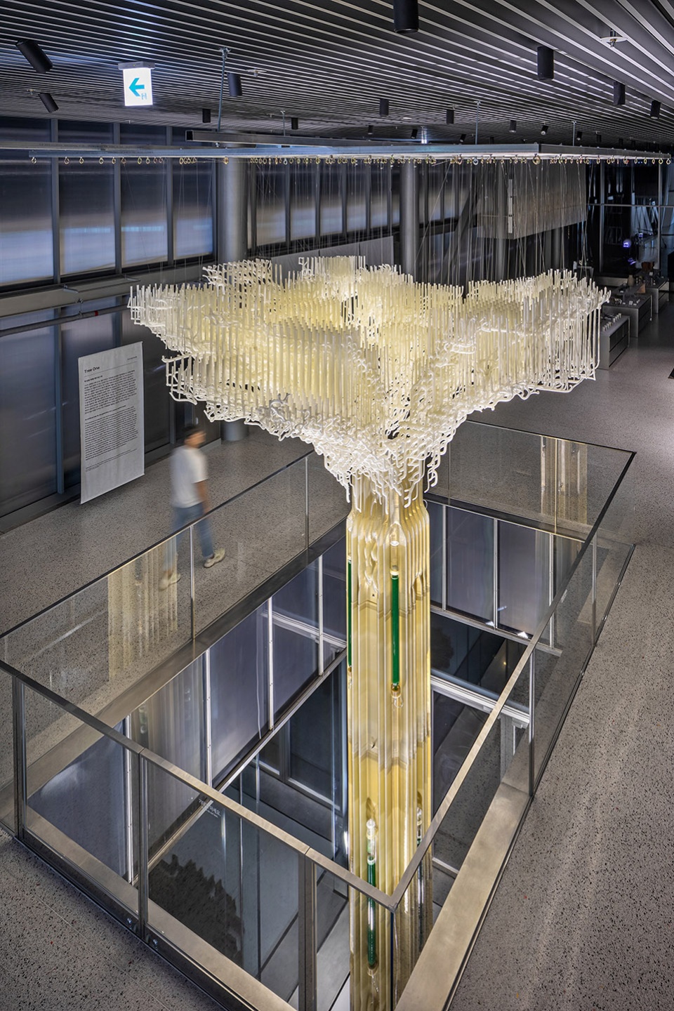 tree one photosynthetic sculpture by ecologicstudio