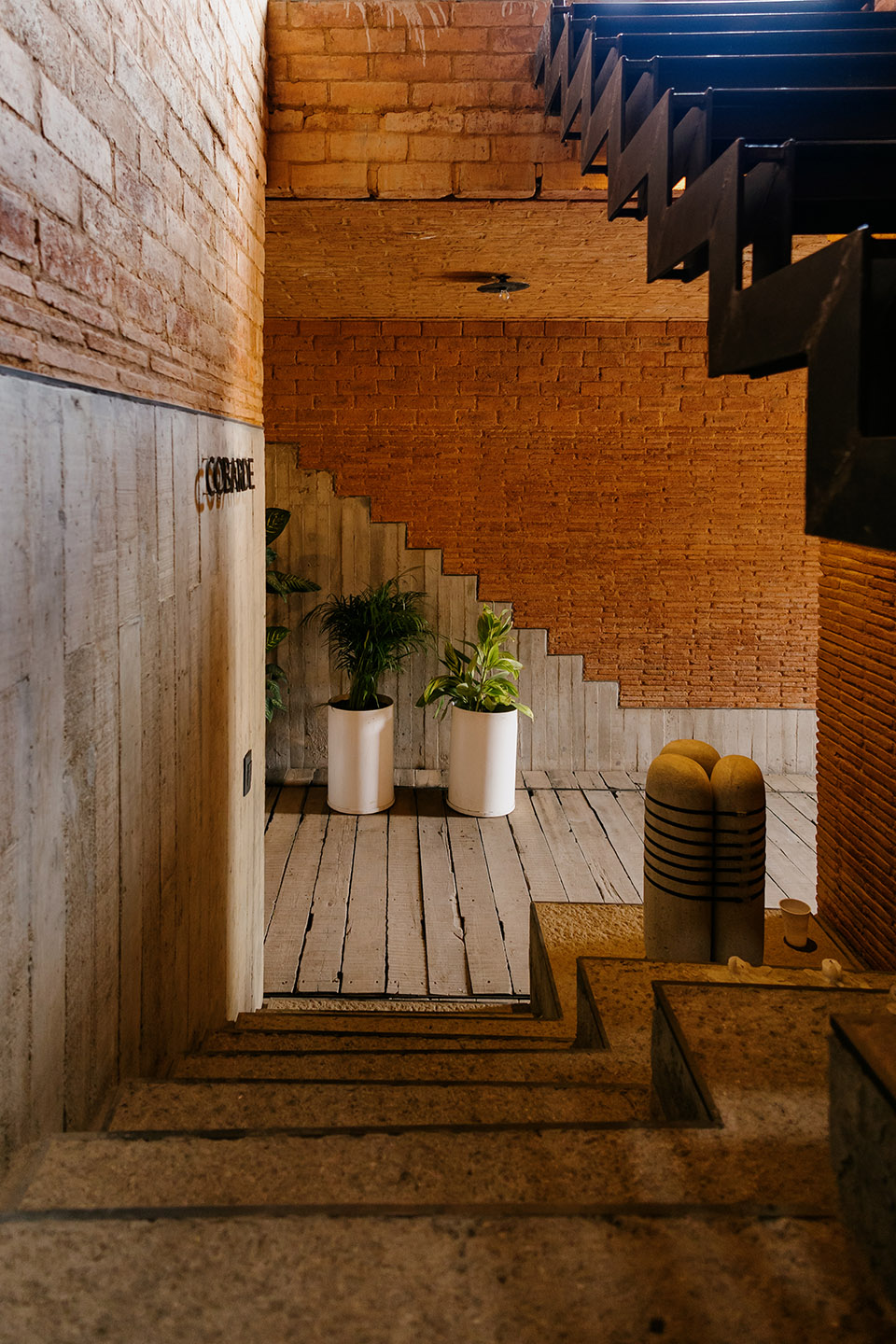 cobarde by rootstudio