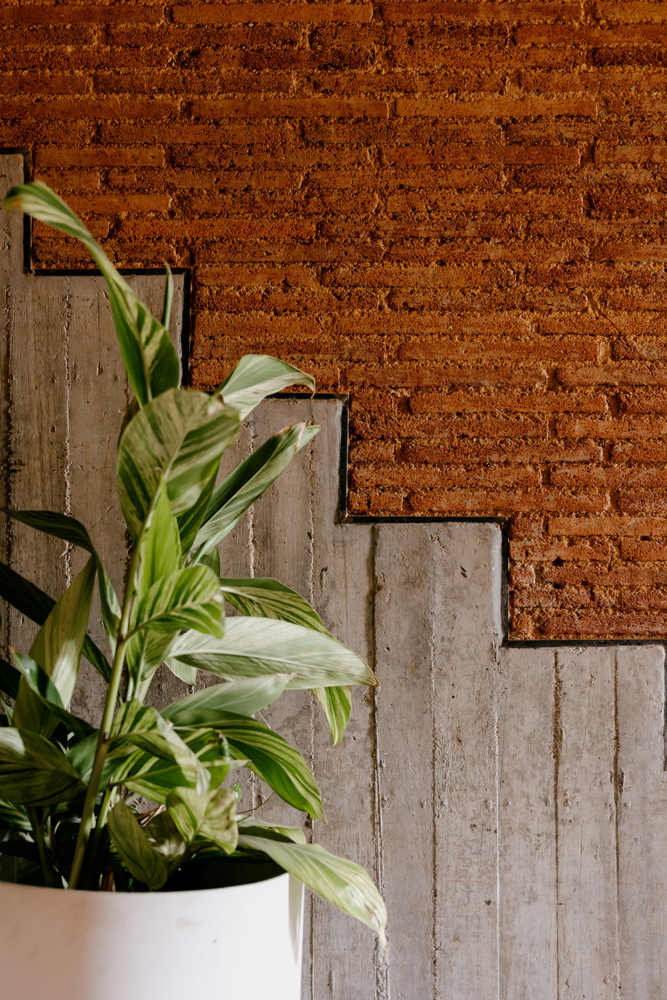 cobarde by rootstudio