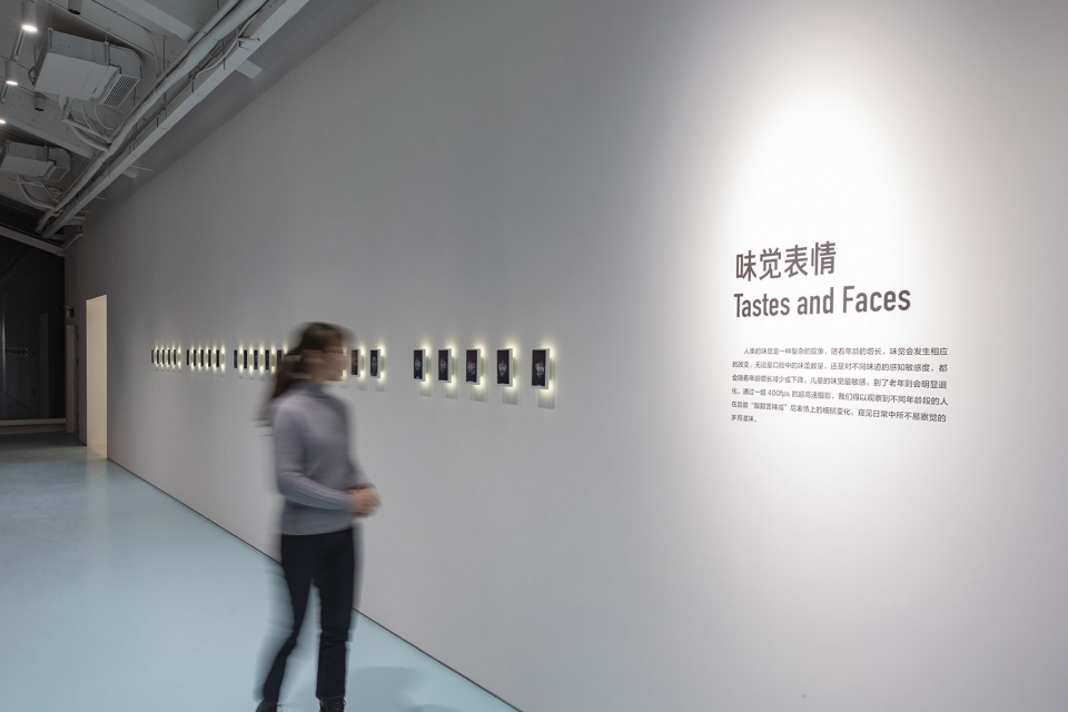 taste museum by diameter narrative design