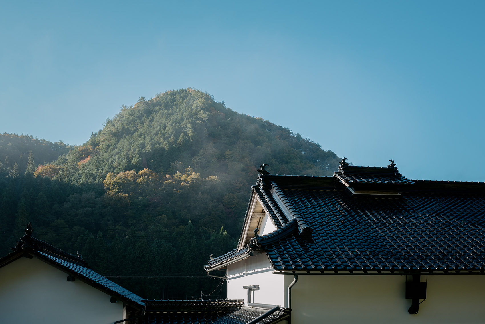 house in zinseki by reiichi ikeda design