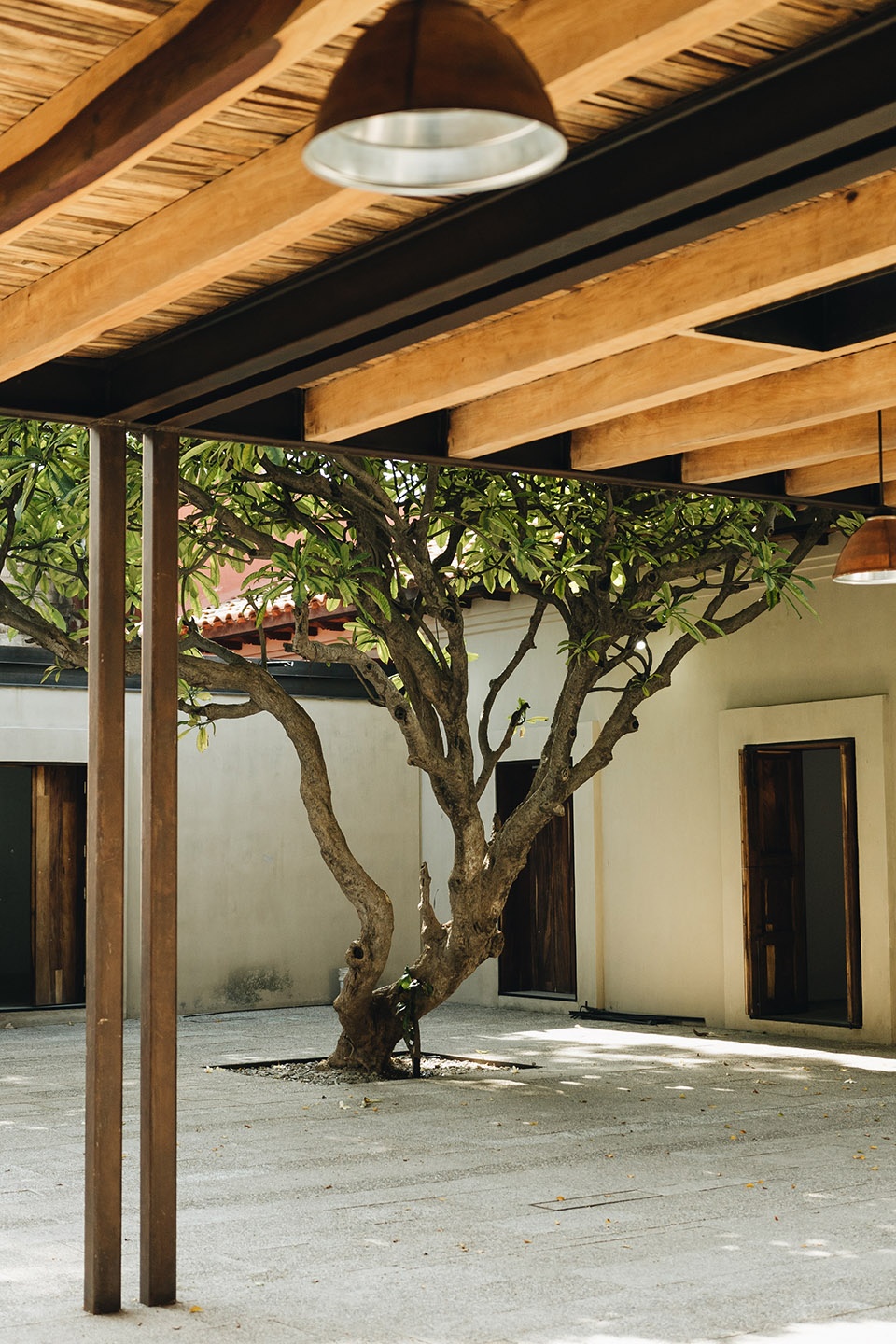 reconstruction of the gabriel lopez chinas library by rootstudio