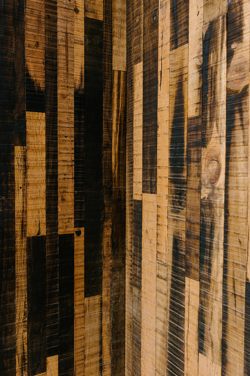 cobarde by rootstudio