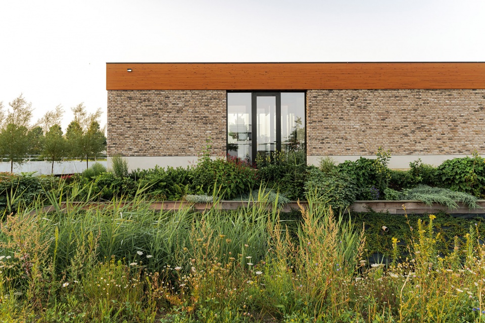 Terphouse Rotterdam by AAAN