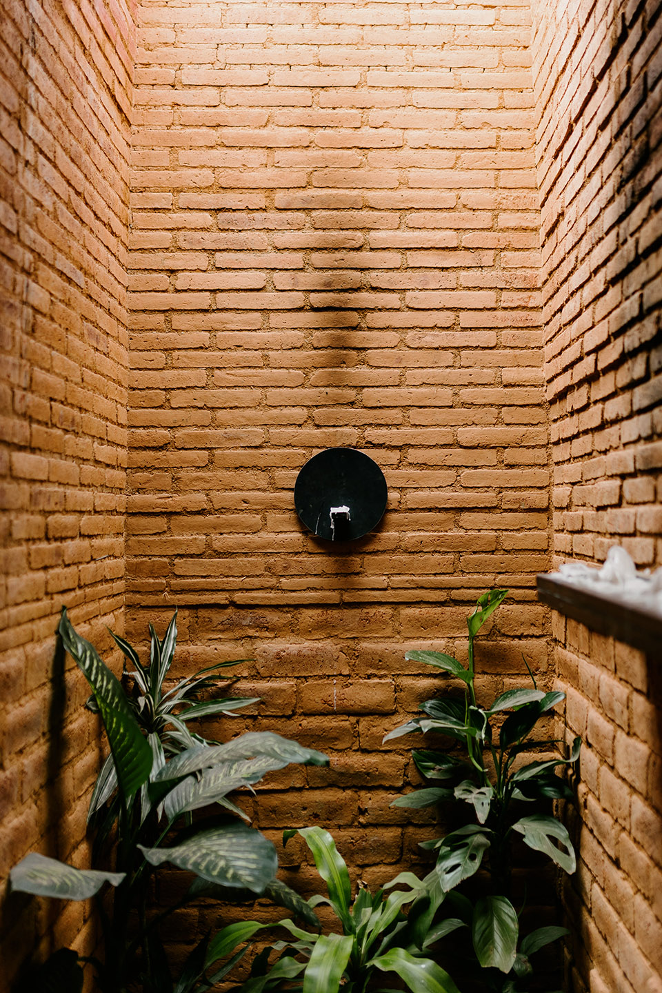 cobarde by rootstudio