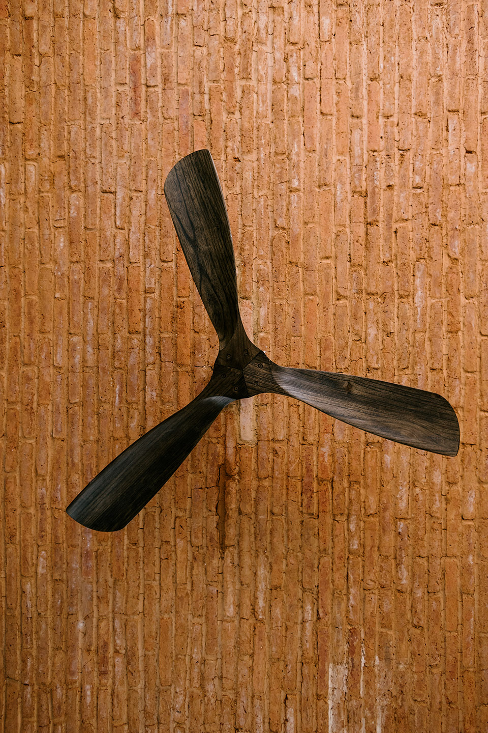 cobarde by rootstudio
