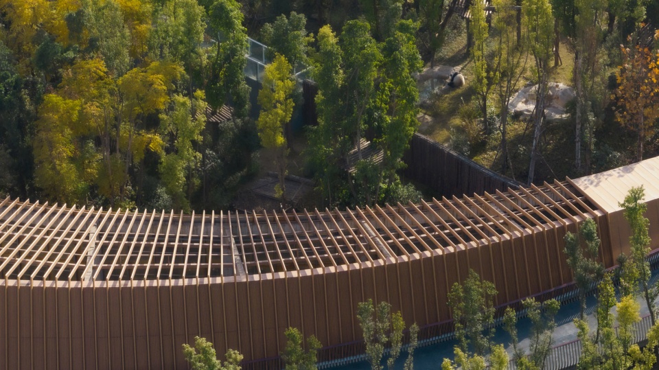the panda pavilions in chengdu by atelier ping jiang eid arch