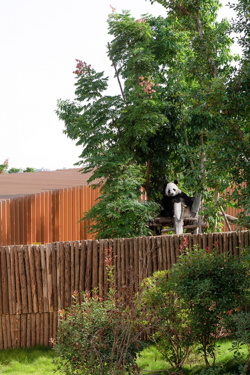 the panda pavilions in chengdu by atelier ping jiang eid arch