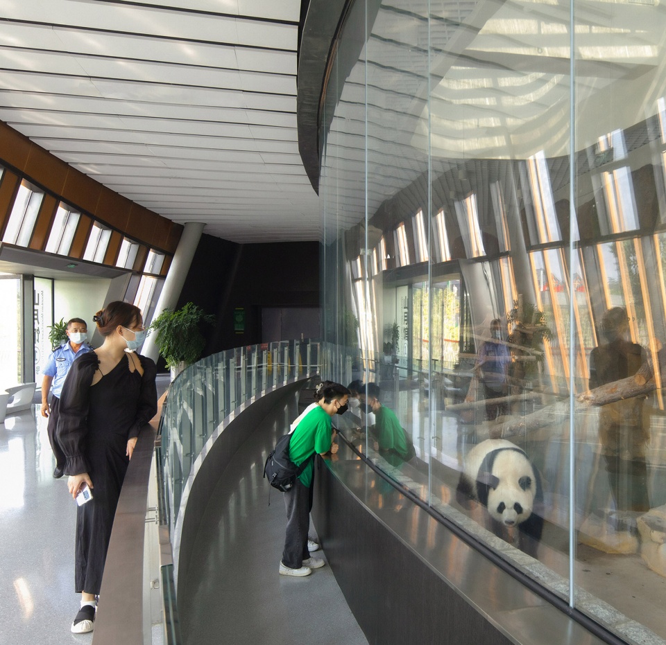 the panda pavilions in chengdu by atelier ping jiang eid arch