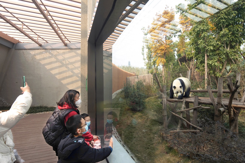 the panda pavilions in chengdu by atelier ping jiang eid arch