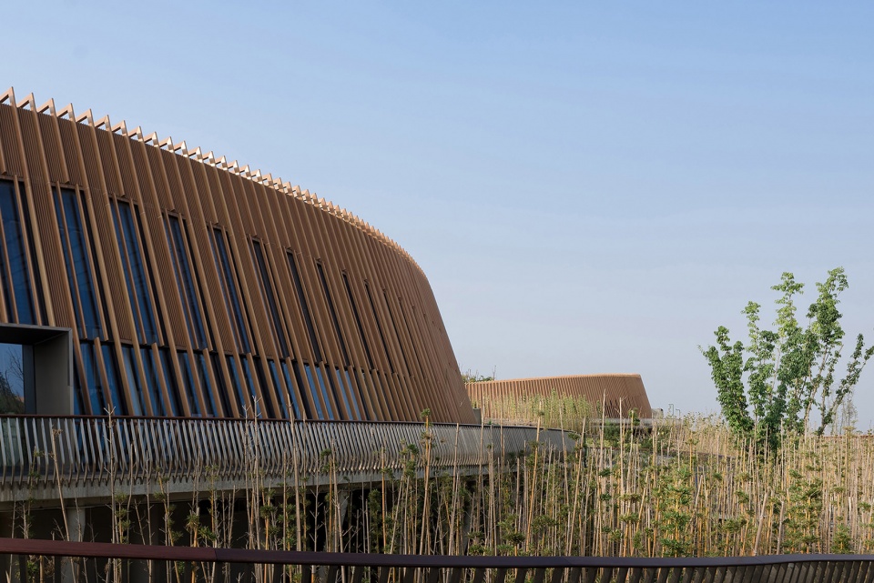 the panda pavilions in chengdu by atelier ping jiang eid arch