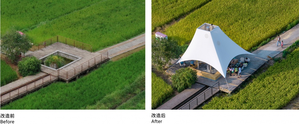 tower pavilion in paddy fields by jumpinghouselab