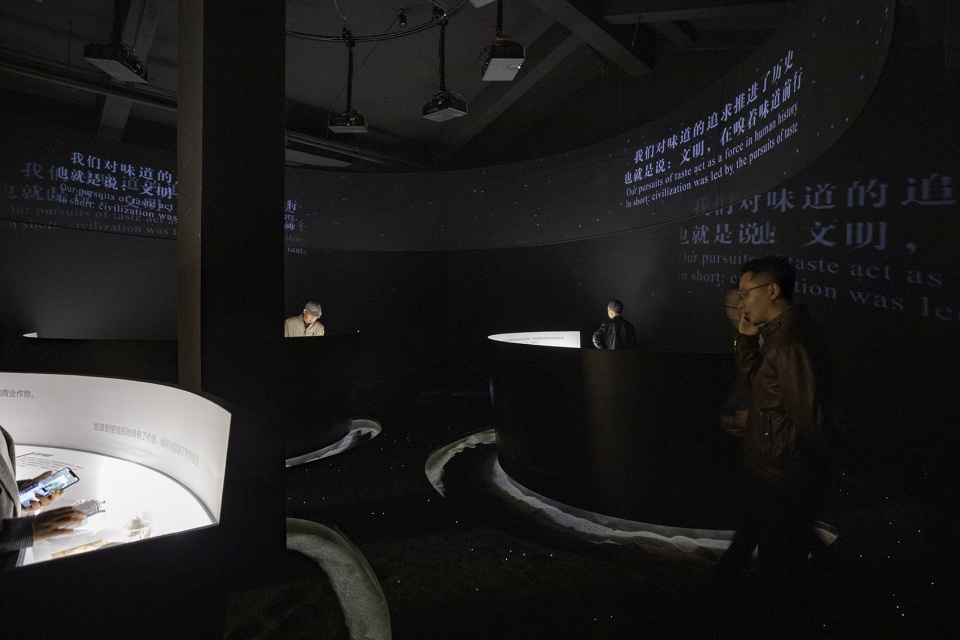 taste museum by diameter narrative design