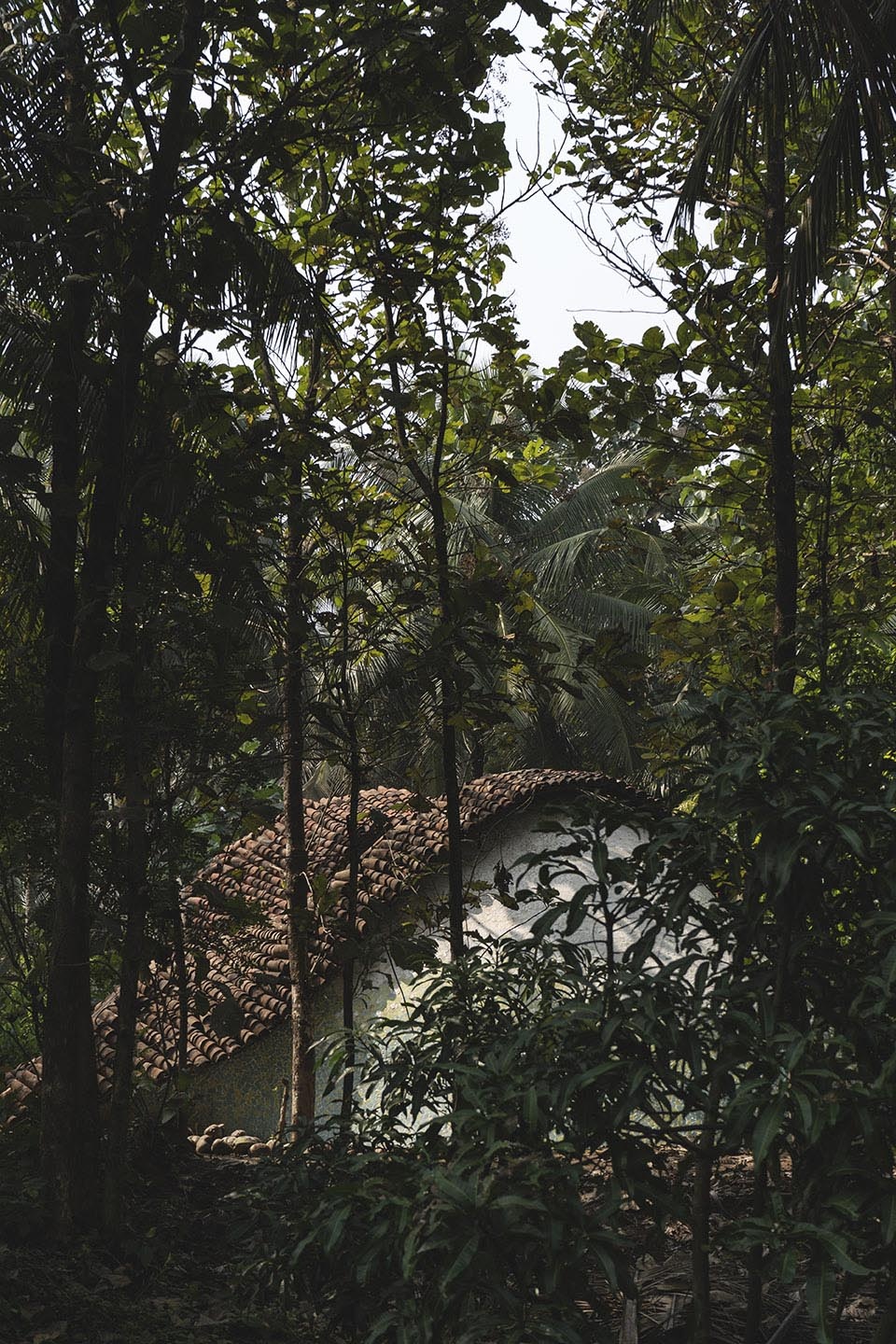 the wendy house by earthscape studio