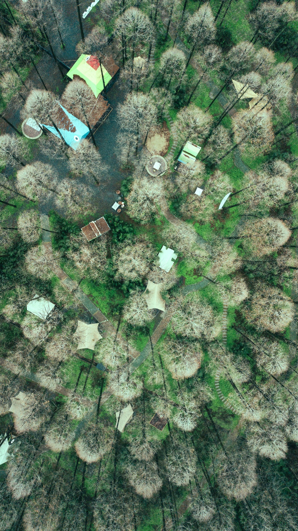 wiki world secrets natural camp by wiki world advanced architecture lab