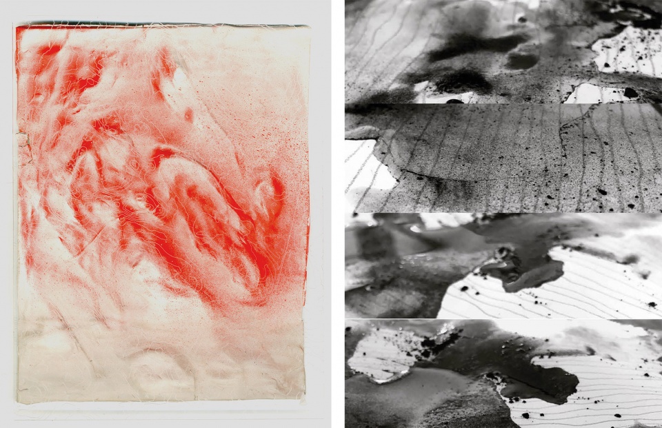 overseas haoyu zhao