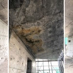推广：探索当代清水混凝土建筑的修复与耐久保护