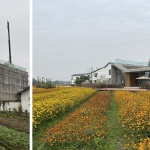 推广：探索当代清水混凝土建筑的修复与耐久保护
