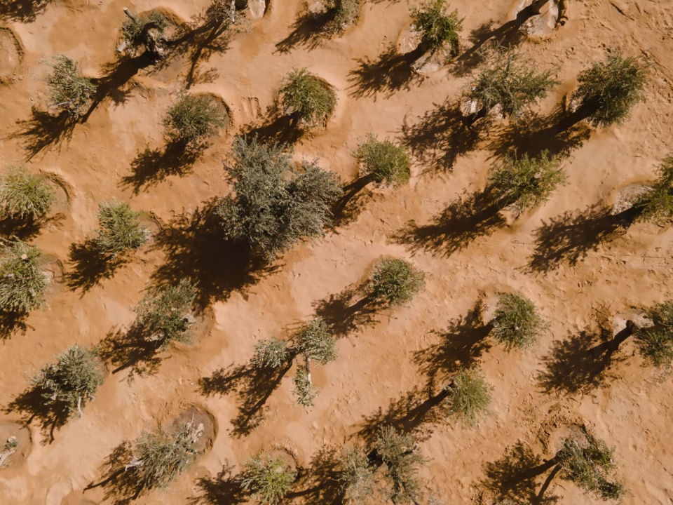 grounding by khalil rabah