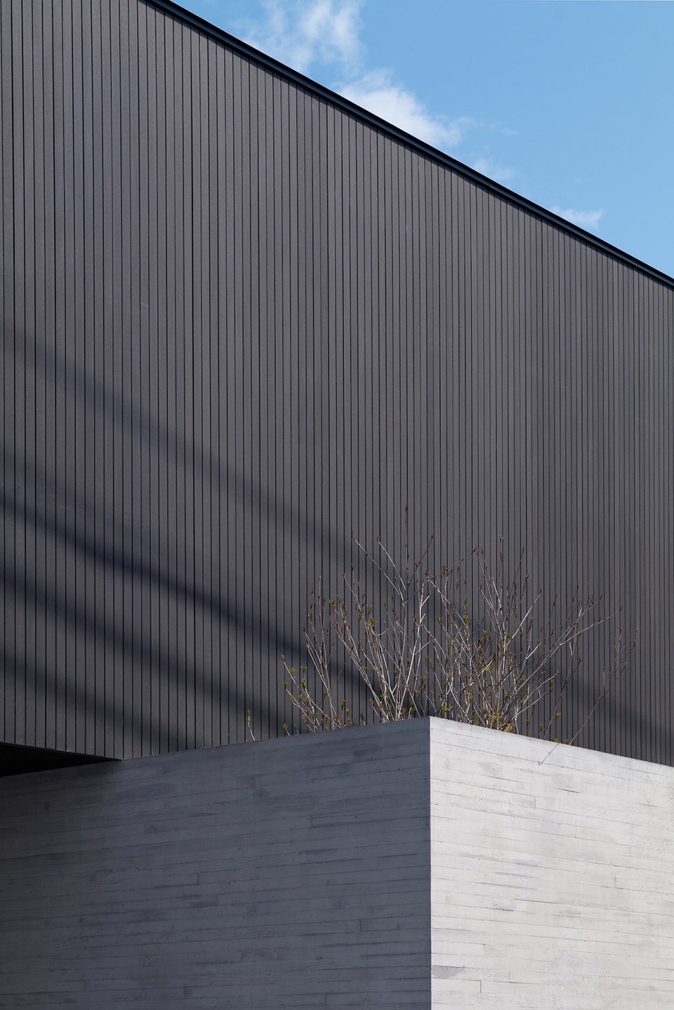 LAXUS by APOLO Architects Associates Co Ltd