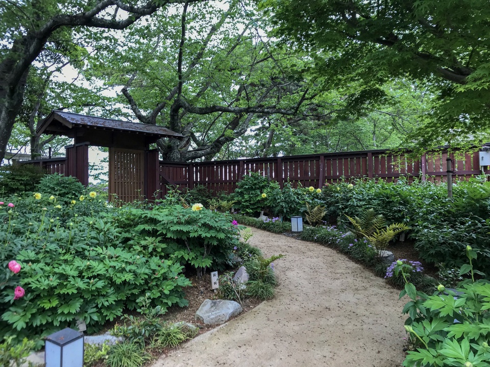 peony garden of tokiwa park by yoshiki toda landscape architecture