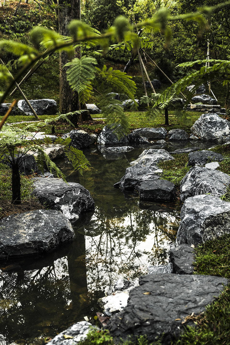 Millennium ancient tree garden of Kaisen the Mysterious Forest by Yoshiki Toda Landscape Architect