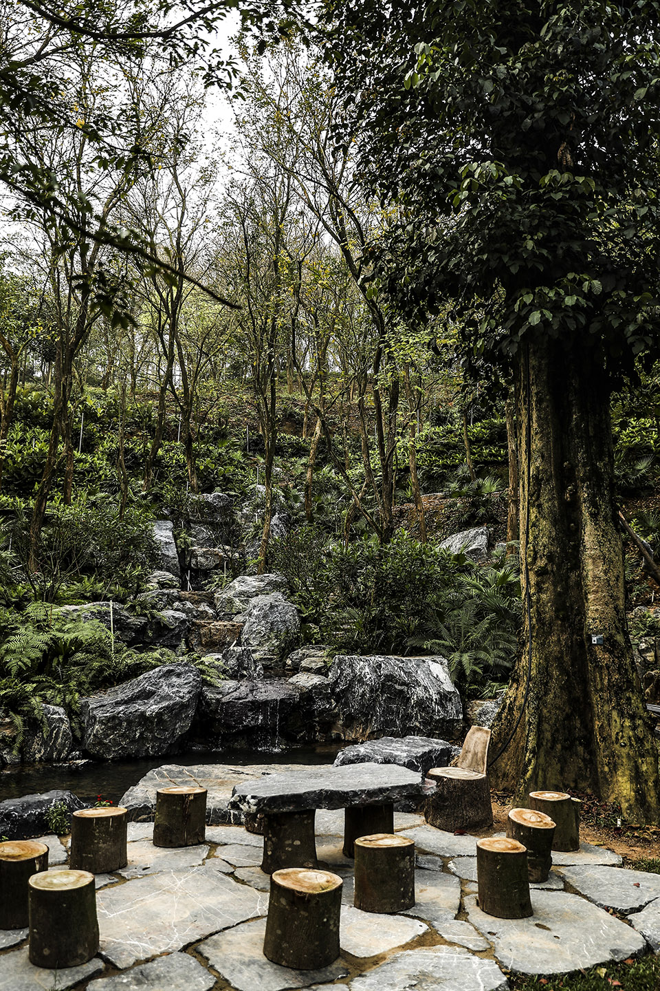 Millennium ancient tree garden of Kaisen the Mysterious Forest by Yoshiki Toda Landscape Architect