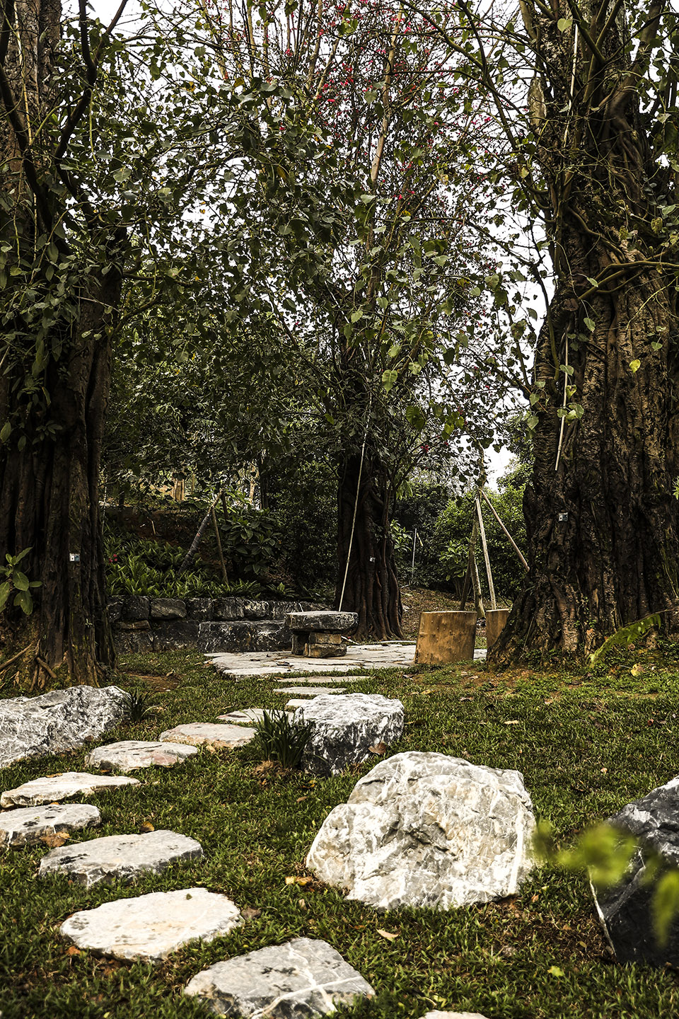 Millennium ancient tree garden of Kaisen the Mysterious Forest by Yoshiki Toda Landscape Architect