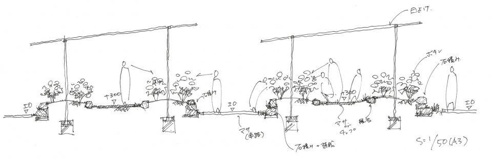 peony garden of tokiwa park by yoshiki toda landscape architecture