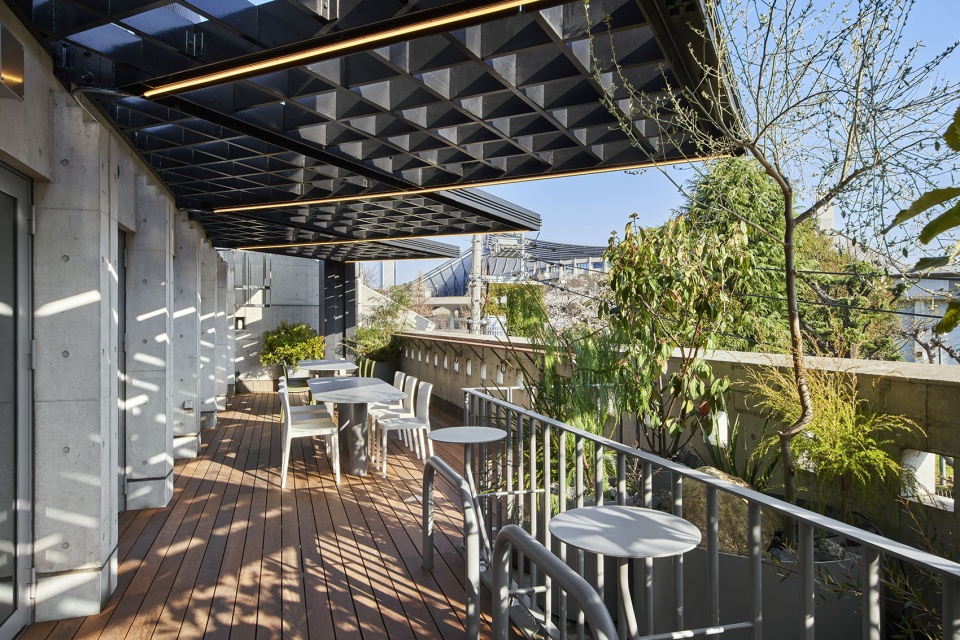 Kuwasawa Design School new educational facility by moss