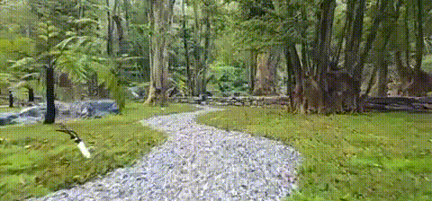 Millennium ancient tree garden of Kaisen the Mysterious Forest by Yoshiki Toda Landscape Architect