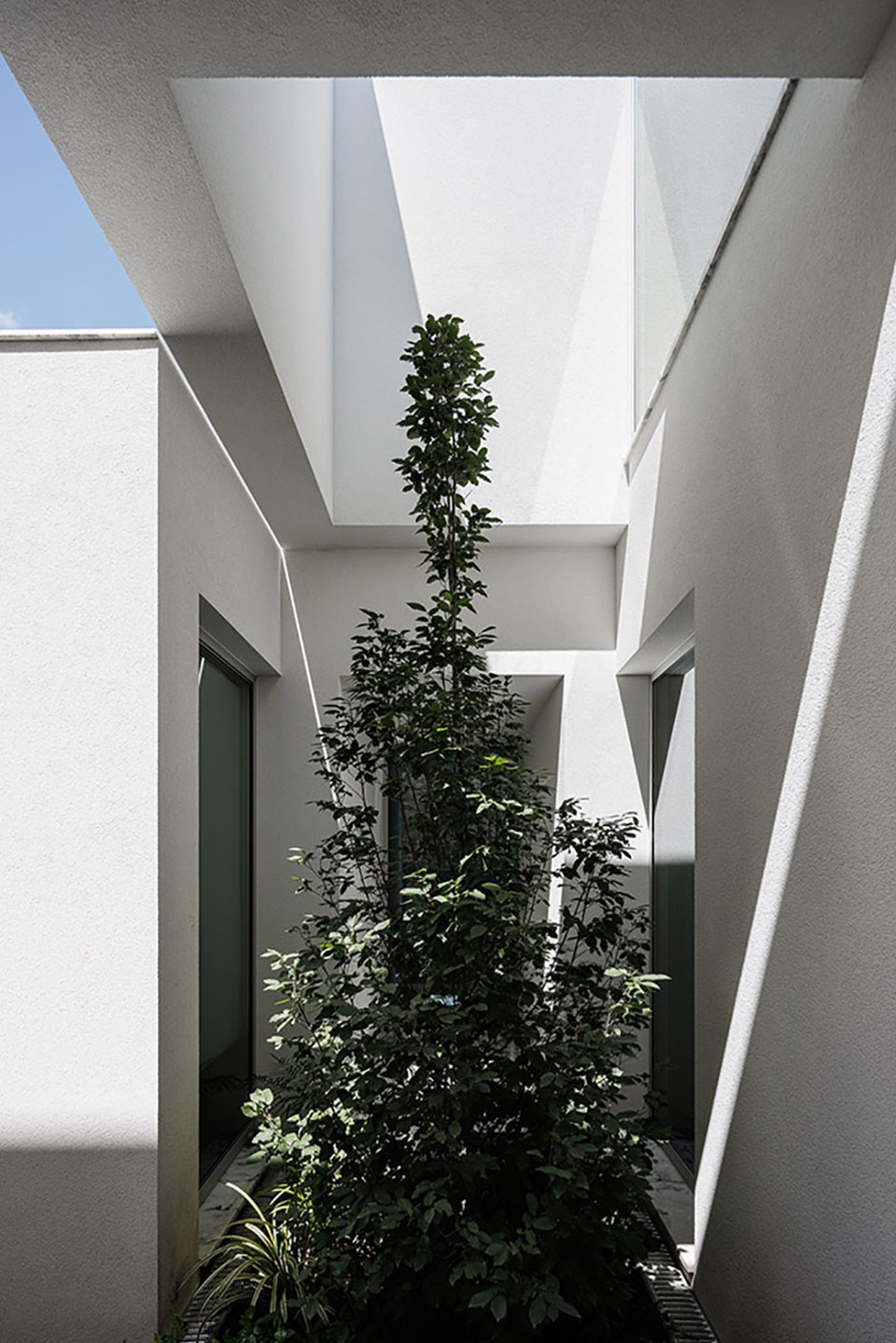 Forte House by pema studio 8qw