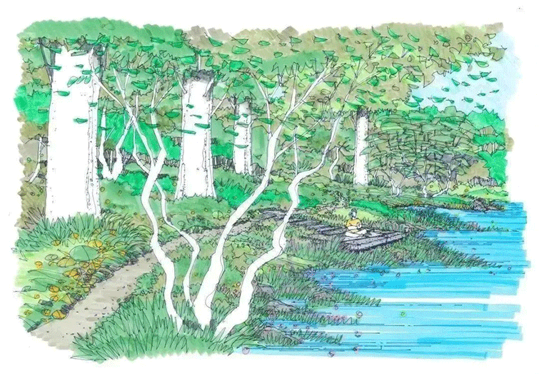 Millennium ancient tree garden of Kaisen the Mysterious Forest by Yoshiki Toda Landscape Architect