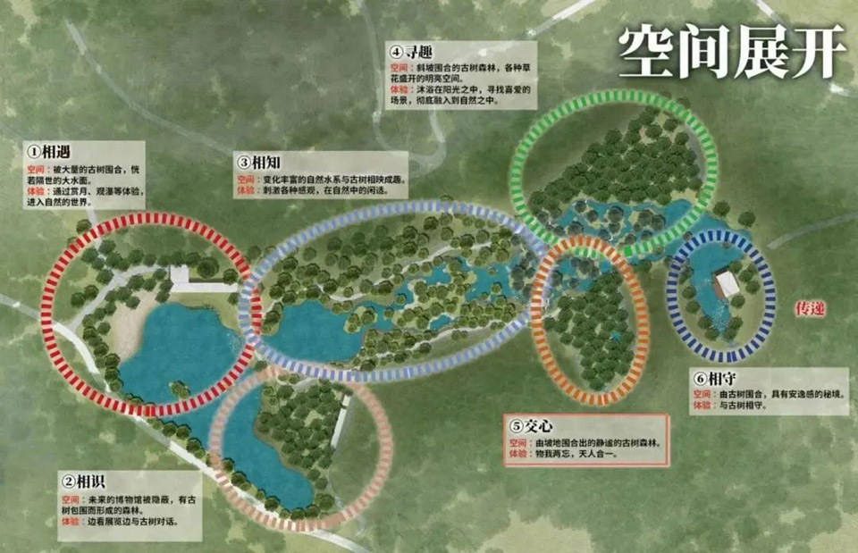 Millennium ancient tree garden of Kaisen the Mysterious Forest by Yoshiki Toda Landscape Architect