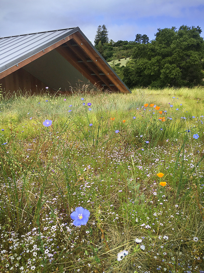 2022 asla residential design award of honor coast ridge residence scott lewis landscape architecture