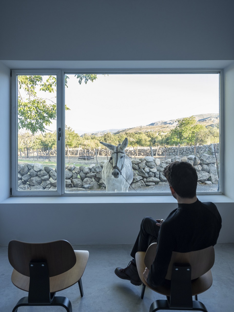 nogal house by raul almenara