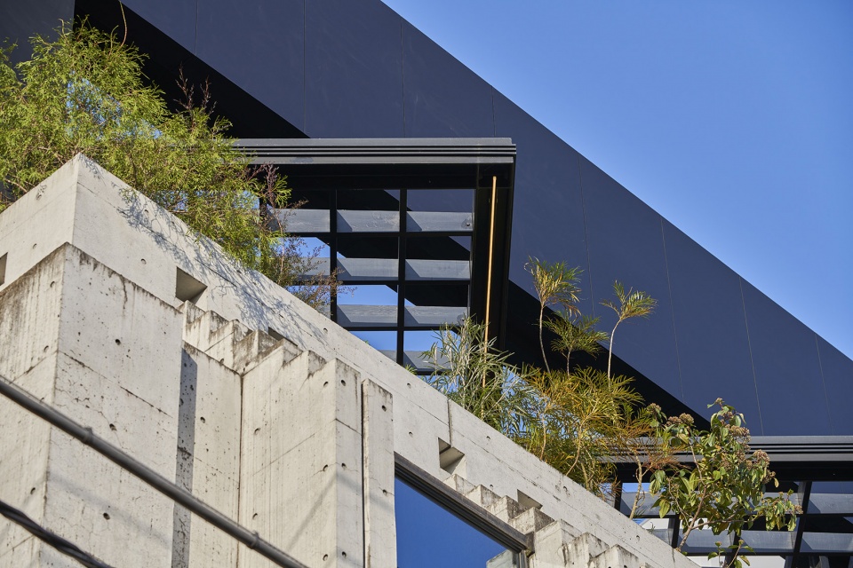 Kuwasawa Design School new educational facility by moss