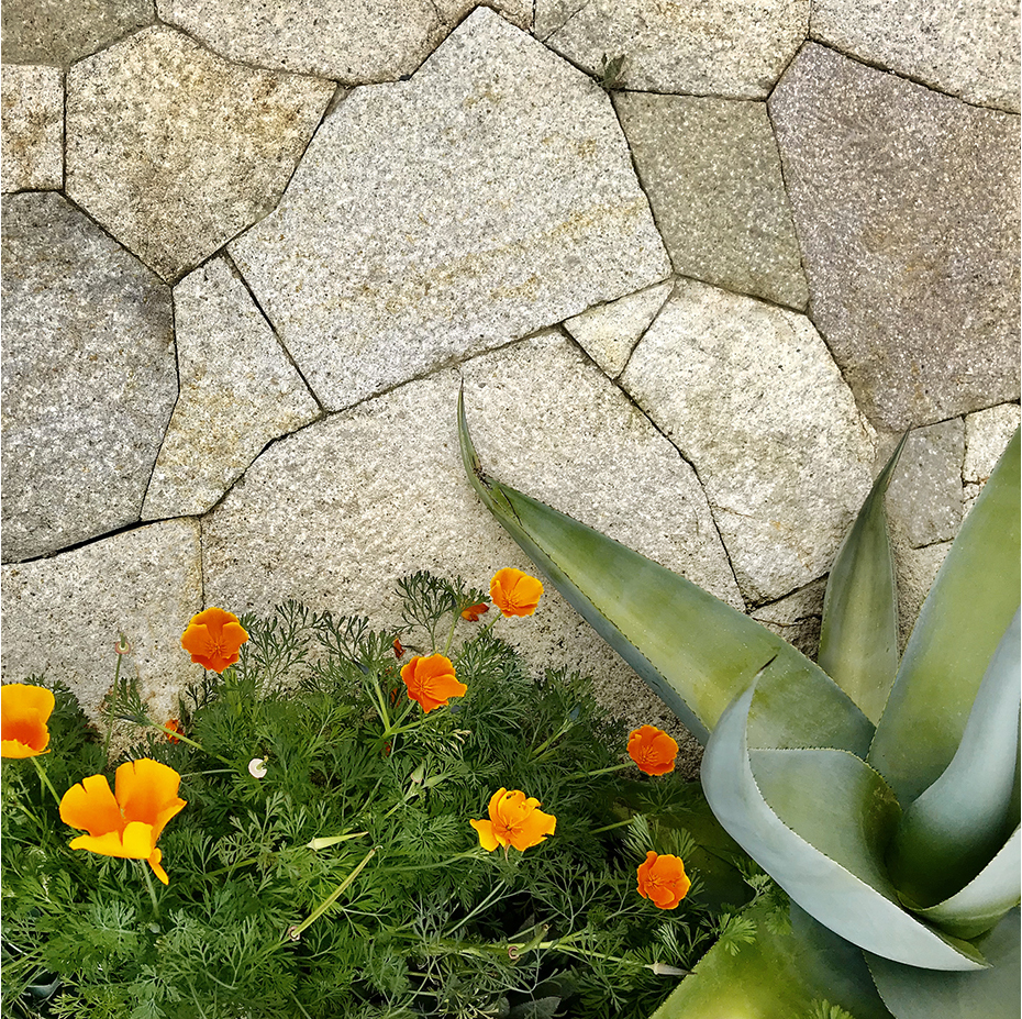 2022 asla residential design award of honor coast ridge residence scott lewis landscape architecture