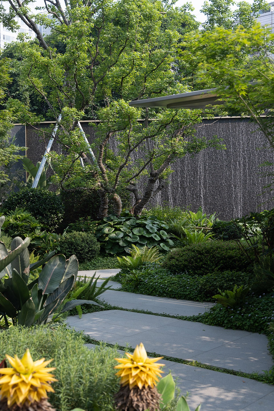 chengdu chenjia jiabaidao by wtd weitu