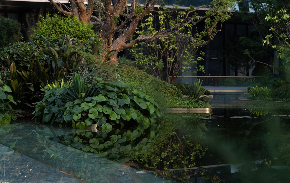 chengdu chenjia jiabaidao by wtd weitu