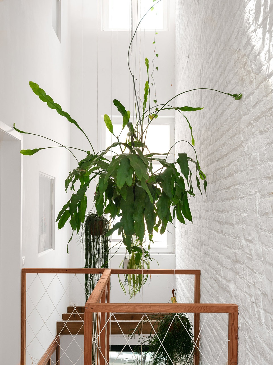 Brecht Nele by Atelier Vens Vanbelle