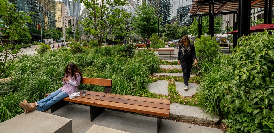 2022 asla urban design award of honor denny regrade campus site workshop