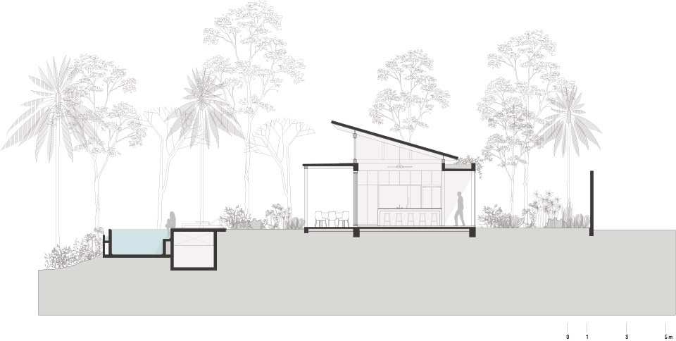 Casa Tropical by Jaque Studio